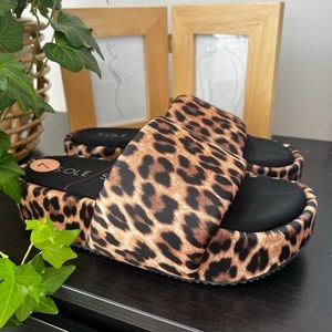 Cheetah Plaform Slides